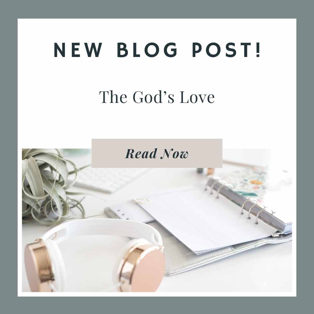 Blog & News